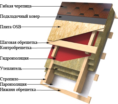 gibkaya_cherepica.jpg