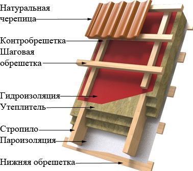 naturalnaya_cherepica.jpg